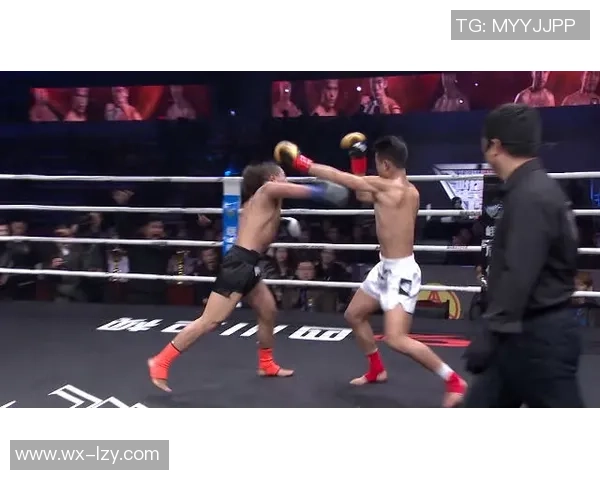 热情全运-“热血+科技” 十五届全运会拳击男人92公斤级决赛机器人“抢镜”